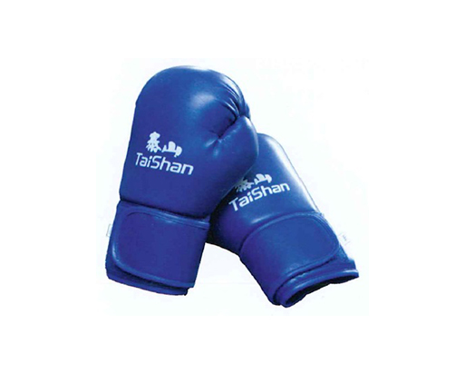 拳擊訓練用手套 1