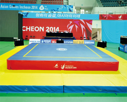 比賽級武術散打擂台 2