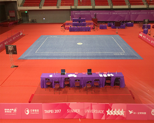 武術套路地毯 1