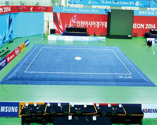 武術套路地毯 2