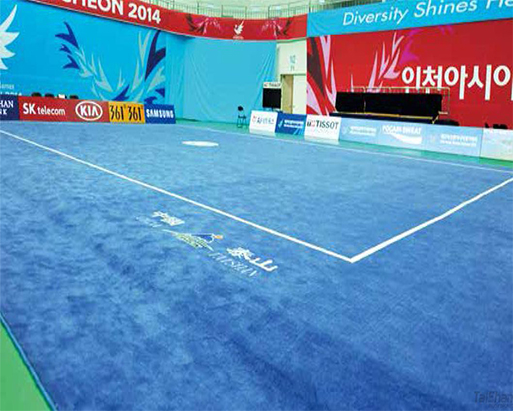 武術套路地毯 1